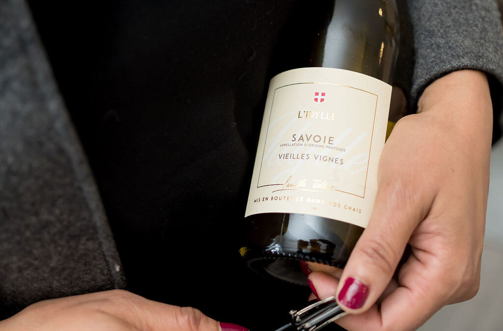 The Cheese Course: A Sommelier’s Guide to Pairing